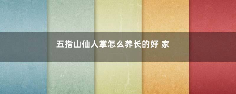 五指山仙人掌怎么养长的好 家庭养殖方法